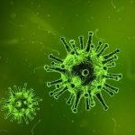Virus 1812092 640